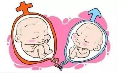 爱心同性供卵代孕微信群