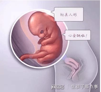 实验室设备